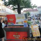 zdjęcie nr 26