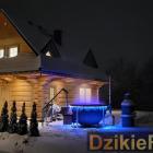 zdjęcie nr 11