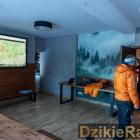 zdjęcie nr 8