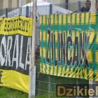 zdjęcie nr 35