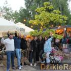 zdjęcie nr 12