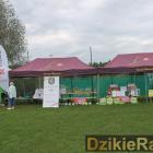 zdjęcie nr 226