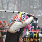 zdjęcie nr 199
