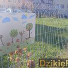 Fotka nr 1 z 11