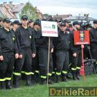 zdjęcie nr 59