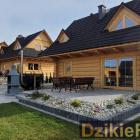 zdjęcie nr 13