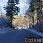 Fotka nr 1 z 3