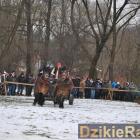 zdjęcie nr 65