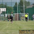 zdjęcie nr 42