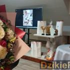 zdjęcie nr 15