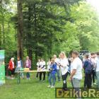 zdjęcie nr 15