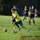 zdjęcie nr 103