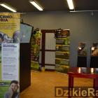 zdjęcie nr 8