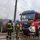 zdjęcie nr 14