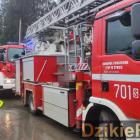 zdjęcie nr 21