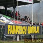 Fotka nr 0 z 80