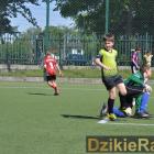 zdjęcie nr 19