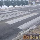 Fotka nr 0 z 6