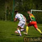 Fotka nr 4 z 31