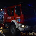 zdjęcie nr 10