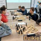 zdjęcie nr 19