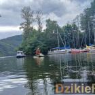 zdjęcie nr 250