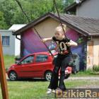 zdjęcie nr 41