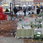 zdjęcie nr 22