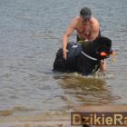 zdjęcie nr 41