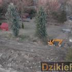 Fotka nr 3 z 4
