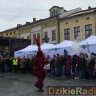 zdjęcie nr 264