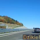 zdjęcie nr 129