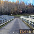 Fotka nr 4 z 5