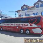 Fotka nr 4 z 27