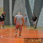 zdjęcie nr 223