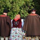 zdjęcie nr 230