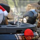Fotka nr 4 z 215