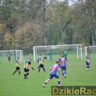 zdjęcie nr 31