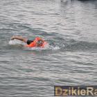 zdjęcie nr 182