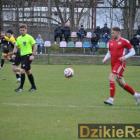 zdjęcie nr 12