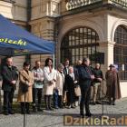 zdjęcie nr 41