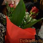 zdjęcie nr 26