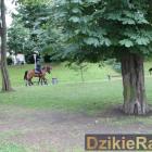 zdjęcie nr 30