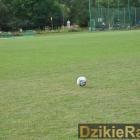 zdjęcie nr 39