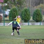 zdjęcie nr 75