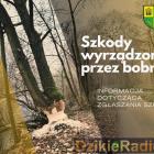 Fot. Gmina Łodygowice