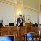 zdjęcie nr 13