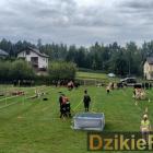 zdjęcie nr 401