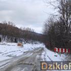 Fotka nr 5 z 9