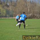 zdjęcie nr 16